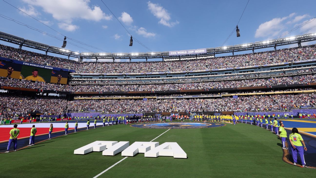 FIFA把2026世界杯决赛草皮拆卖 每块450美元